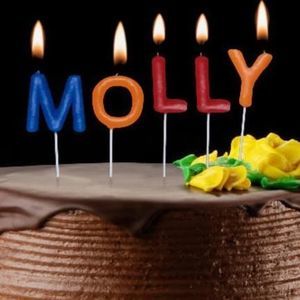 Meet your Posher, Molly